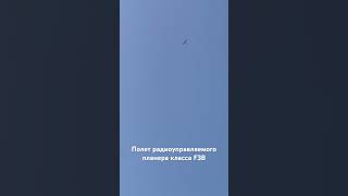 Чемпионат России в классе F3B авиамоделизм лето самолет aviation авиация природа аэропорт [upl. by Yedsnil]