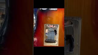 Stratdisaster fubar theunknownguitarist unknownguitarist stratocaster mauled [upl. by Lock]