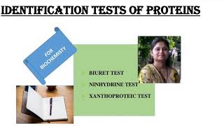 Identification tests for proteinsBiuret testNinhydrin testXanthoproteic testShiv Bhadra Singh [upl. by Yellehs]