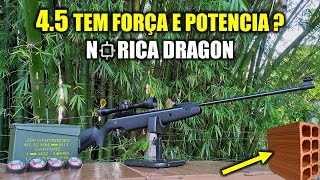 CARABINA NORICA 45 TEM POTÊNCIA TESTES 10 A 40 METROS  NORICA DRAGON TAG [upl. by Zacharias]