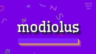 MODIOLUS  How to pronounce Modiolus [upl. by Alegnasor]