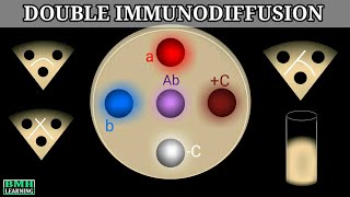 Double Immunodiffusion  Outcherlony Immunodiffusion [upl. by Heath]