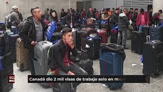 Más de 2 mil trabajadores temporales viajaron en mayo a montreal canadá [upl. by Allac]