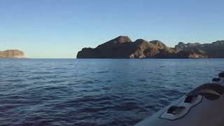 Danzante Bay  Loreto Mexico boat trip to two islands [upl. by Eceerahs]