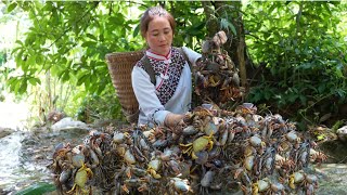 Vang Hoa goes into the green forest to earn money to cure stage 2 liver disease for zon [upl. by Nore325]