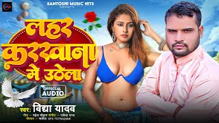 Vidya Yadav  Lahar Karkhana Me Uthela  लहर करखना मे उठेला  New Bhojpuri Song 2024 [upl. by Latrina533]