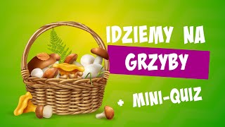 Grzyby 🍄 Grzyby jadalne  Grzyby trujące  Grzyby pl [upl. by Eimma]