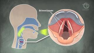 ChorVerband NRW Tutorial Stimmbildung Animation [upl. by Newton274]