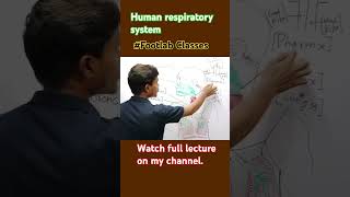 Human respiratory system  Footlab CLASSES  Rohit [upl. by Kellby872]