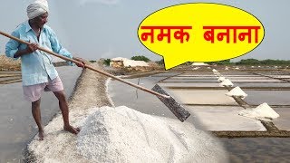 Natural Salt Making with Sea Water  NaCl  Salt Mineral Make Process India  नमक बनाने की प्रक्रिया [upl. by Diet]