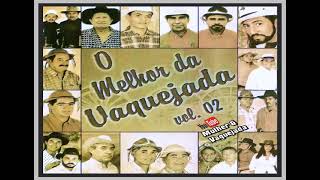 O Melhor da Vaquejada  Vol02 [upl. by Uaeb]