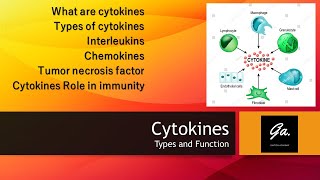 CYTOKINES Interleukins and their functions Interferons Chemokines Immunology [upl. by Anaed]