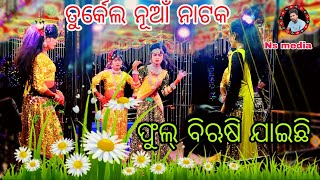 Turkel New Nataka heroine Entry  Geet SongFula Birusi jae chhi 🌹nsmedia44 viralvideo [upl. by Drofnil]