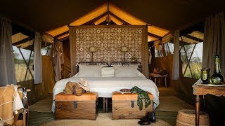 Serengeti Safari Camp  Tanzania [upl. by Eiramlehcar]