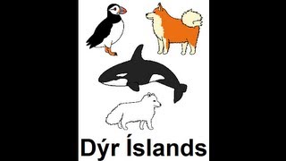 Icelandic Lesson 46 Animals of Iceland  Singular and Plural Pronunciation [upl. by Nairdna869]