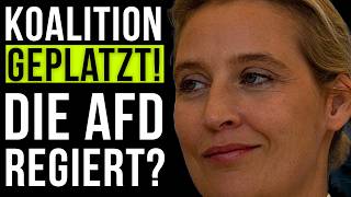 KOALITION GEPLATZT ALTPARTEIEN VERSINKEN IM CHAOS AfD jetzt am Drücker [upl. by Shoshanna]