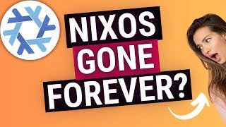 NixOS Has A HUGE Problem [upl. by Kilmarx]