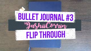 2018 Bullet Journal Flip Through  3rd Bullet Journal  Jan  Jun 2018 [upl. by Nauqyt]