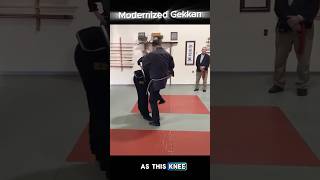 Modernized Gekkan martialarts ninjutsu bujinkanninjutsu taijutsu [upl. by Tremain]