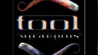 Tool  Vicarious played in reverse [upl. by Debbra]