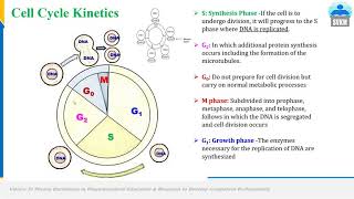 Anticancer Drugs Alkylating Drugs Part 1 [upl. by Eadith]