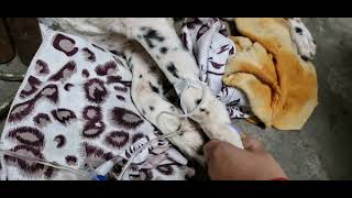 parvo virus treatment doglover kasganjvlog kasganj youtubeshorts animals [upl. by Oremo797]