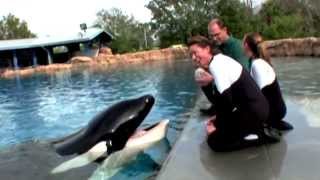 BLACKFISH  Trailer Subtítulos en Español  HD [upl. by Aneek]