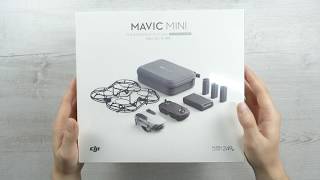 ITS SO TINY  DJI MAVIC MINI  FIRST IMPRESSION [upl. by Samoht]