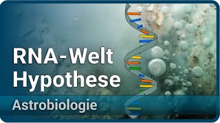 RNAWelt Hypothese • Entstehung des Lebens • ProtoRibosome • Astrobiologie 4  Aleksandar Janjic [upl. by Eicyac198]