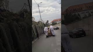 Fun Monte Toboggan Ride in Madeira Island Portugal [upl. by Margarida]