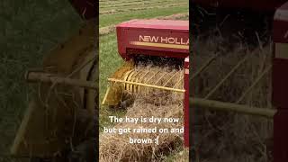 Speed baling tiny windrows hay farming hayfarming newholland farm newhollandagriculture [upl. by Romona]