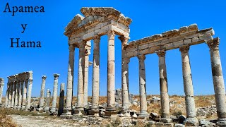 APAMEA y HAMA las ciudades sirias con miles de años de historia [upl. by Aseram]