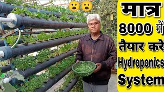 सिर्फ 8000₹ में छत पर तैयार करे इतना बड़ा Hydroponics system और तोड़े बहुत सारी सब्जिया। [upl. by Zasuwa193]