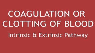 Coagulation or Clotting of Blood Intrinsic amp Extrinsic Pathway  Dr Shikha Parmar [upl. by Tildie178]