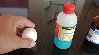 How to test Protein in Egg Albumin test for Protein Xanthoproteic test Ninhydrin test Biuret test [upl. by Iknarf]