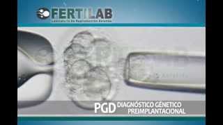 FERTILAB Diagnóstico Genético Preimplantacional PGD [upl. by Mientao808]