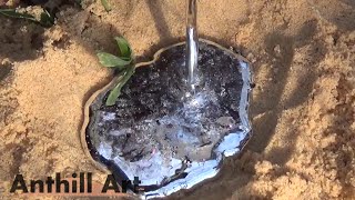 Casting a Winter Ant Colony with Molten Zinc Cast 058 [upl. by Nalrah143]