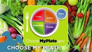 Choose My Plate Dietary Guidelines [upl. by Millard948]