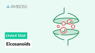 Eicosanoids Formation Function and Subclasses [upl. by Lael]