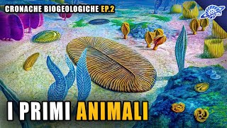 I Primi Animali  Proterozoico  Cronache Biogeologiche Ep 2 [upl. by Rebeca489]