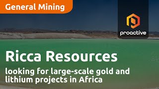 Ricca Resources looking for largescale gold and lithium projects in Africa [upl. by Rinum]