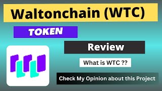 What is Waltonchain WTC Coin  Review About WTC Token [upl. by Nadual]