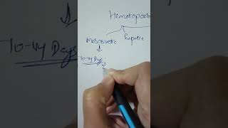 Stages of Hematopoesis [upl. by Araj]