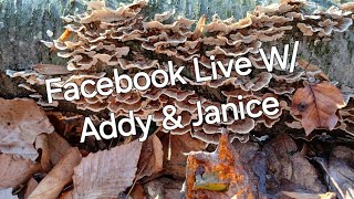 Facebook Live Event Ghost Pipe TinctureHikingFall Foraging  Podcast 7 IntheforestGuy [upl. by Zitvaa]