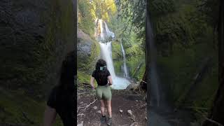 Beautiful waterfall in Oregon youtubeshorts nature beautifuldestinations viralvideo [upl. by Anitan264]