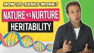 Nature vs Nurture Debate Heritability vs True Ability Video 34 [upl. by Surbeck552]