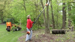 All Seasons Tree Works of Yorkville Illinois [upl. by Roderica]