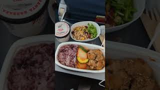 Delta Airlines Meal Economy Lunch Seattle to Incheon [upl. by Eanej]