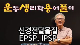 51 운생용풀 운동생리학 용어풀이 운동과 신경계 신경전달물질 EPSP IPSP [upl. by Sacram50]