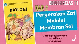 Perbedaan Sel Hewan amp Sel Tumbuhan pada transpor membran dengan konsentrasi berbeda BIOLOGI KELAS 11 [upl. by Emia182]